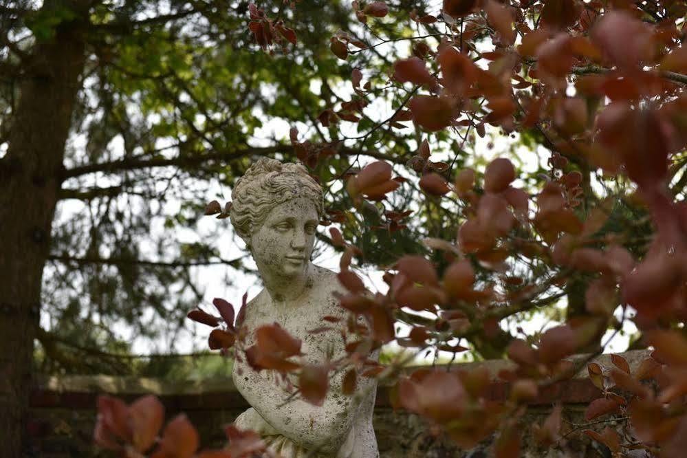 Old Selden Farm B&B Clapham  Dış mekan fotoğraf