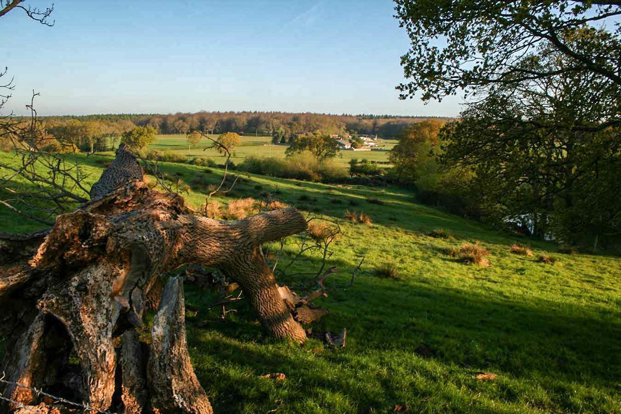 Old Selden Farm B&B Clapham  Dış mekan fotoğraf