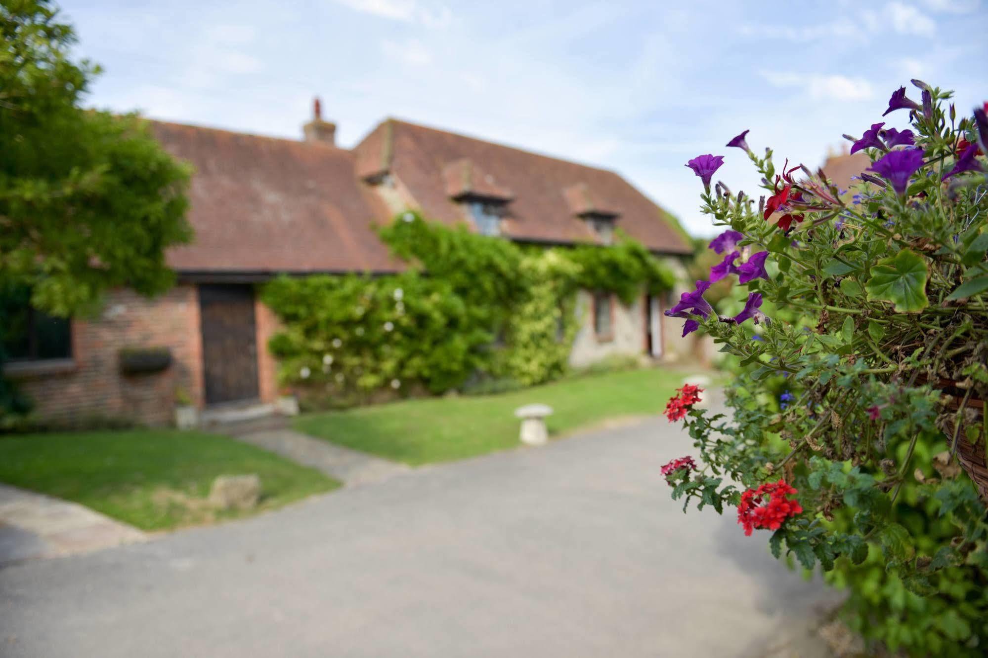 Old Selden Farm B&B Clapham  Dış mekan fotoğraf