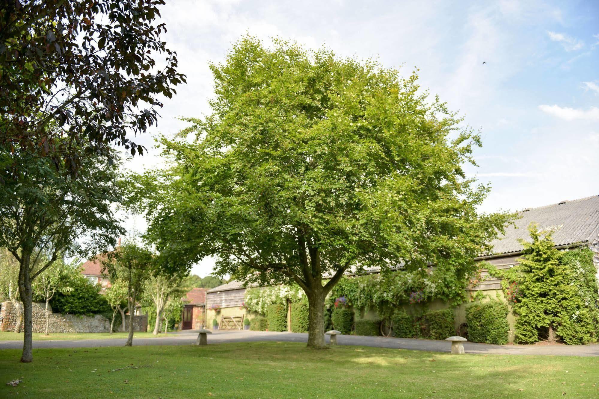 Old Selden Farm B&B Clapham  Dış mekan fotoğraf
