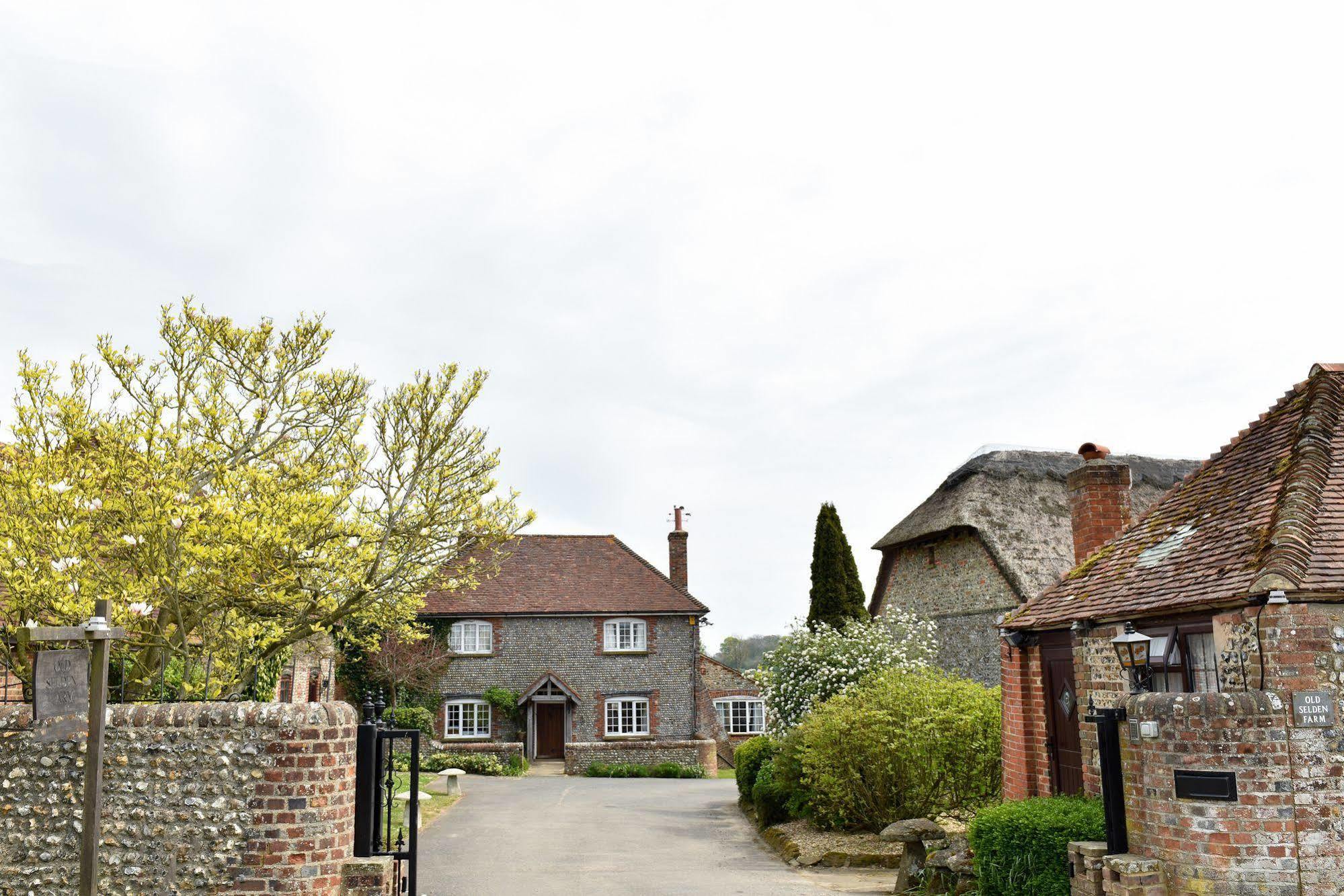 Old Selden Farm B&B Clapham  Dış mekan fotoğraf